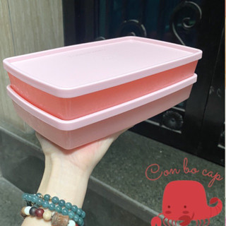 Hộp Dẹt Đông Dẻo 600ML Màu Hồng Cực Xinh - Tiện Chia Bữa Hàng Ngày - Trữ Thịt Cá Há Cảo Nem Thực Phẩm Đông Lạnh