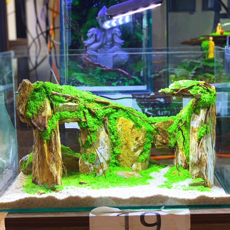 [Full combo bể 30x20x20 đầy đủ phụ kiện] bộ bể cá tiểu cảnh hang đá bỏ hoang. Sỏi, cát, đá tự nhiên.