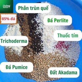 Đất trồng Sen Đá, Xương Rồng trộn sẵn 85% đá cao cấp,giá thể trồng sen đá xương rồng | Living Decor