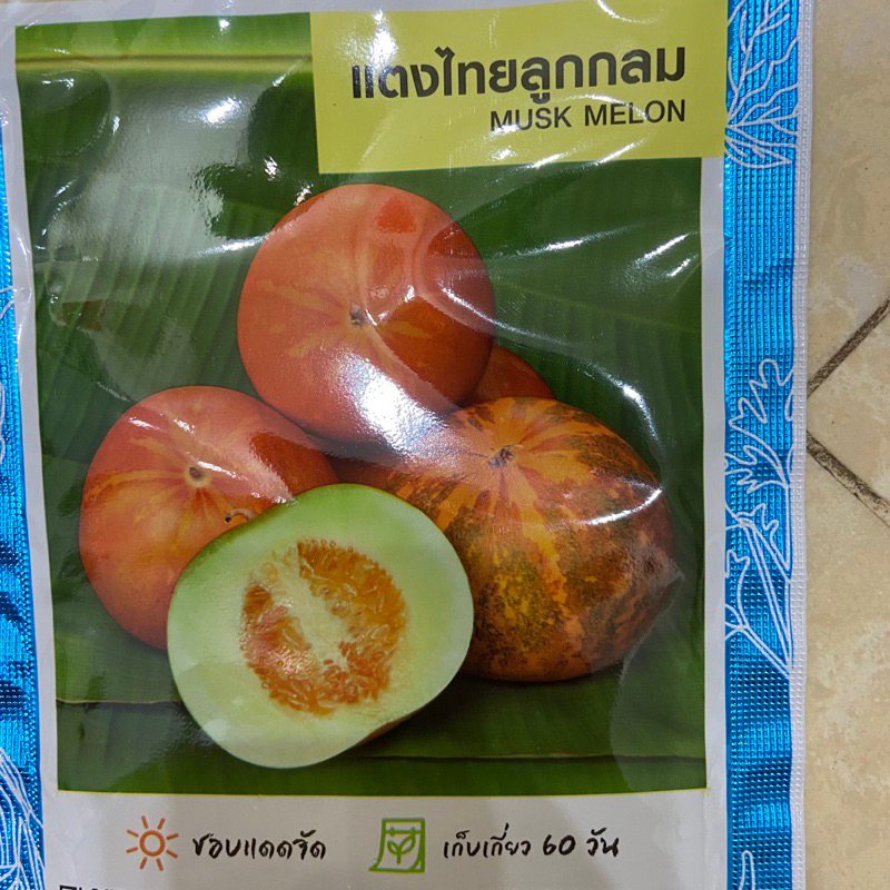 Hạt giống dưa bở sáp
