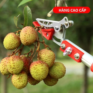 Kéo cắt cành trên cao