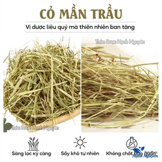 Cỏ mần trầu khô 500g, thơm, sạch, đun nước gội đầu giúp mượt tóc, mọc tóc, giảm tóc gãy rụng, sạch gàu