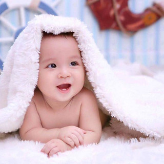 Thảm Lông Trắng Ngắn Mịn Chụp Ảnh Sản Phẩm