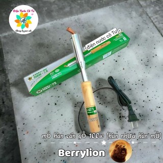 Mỏ hàn chì 60W/80W/100W BerryLion
