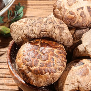 Nấm đông cô Nhật Bản khô 100g, tai nấm to trắng, thơm ngon, dùng nấu canh dưỡng sinh, nấu nước dashi