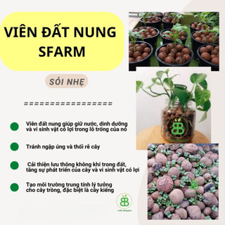VIÊN ĐẤT NUNG (SỎI NHẸ) SFARM 5DM3 (KT 10-20MM)