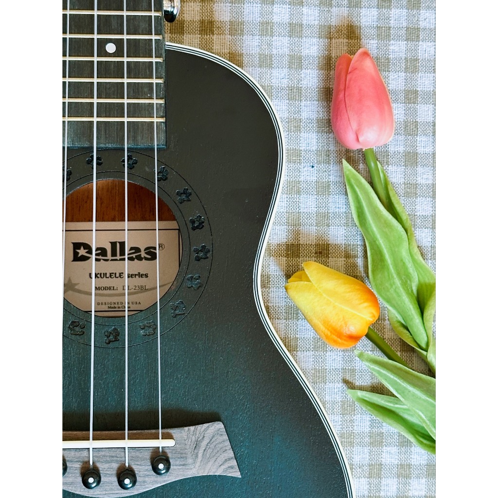 Đàn ukulele DALLAS 23 inch concert gỗ