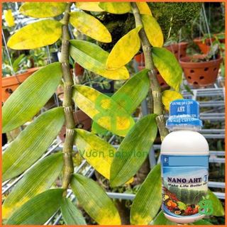 Phân Bón , Vi Lượng Nano AHT, Khắc Phục Bệnh Vàng Lá Cho Cây, Ngừa Bệnh Hiệu Quả - Chai 100ML