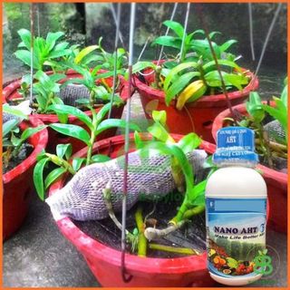 Phân Bón , Vi Lượng Nano AHT, Khắc Phục Bệnh Vàng Lá Cho Cây, Ngừa Bệnh Hiệu Quả - Chai 100ML