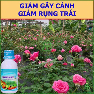 Phân Bón , Vi Lượng Nano AHT, Khắc Phục Bệnh Vàng Lá Cho Cây, Ngừa Bệnh Hiệu Quả - Chai 100ML