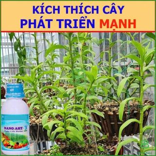 Phân Bón , Vi Lượng Nano AHT, Khắc Phục Bệnh Vàng Lá Cho Cây, Ngừa Bệnh Hiệu Quả - Chai 100ML