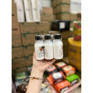 ủ sữa non con.bò