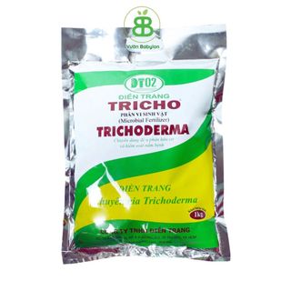 Nấm Đối Kháng Trichoderma Chất Lượng Cao 1kg - Trichoderma Sfram và Trichoderma Điền Trang