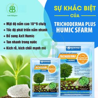 Nấm Đối Kháng Trichoderma Chất Lượng Cao 1kg - Trichoderma Sfram và Trichoderma Điền Trang