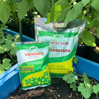 Nấm Đối Kháng Trichoderma Chất Lượng Cao 1kg - Trichoderma Sfram và Trichoderma Điền Trang