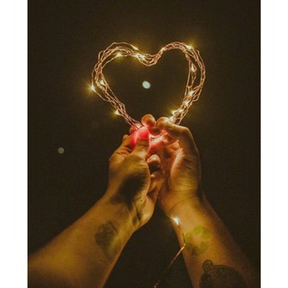 Đèn đom đóm fairy light