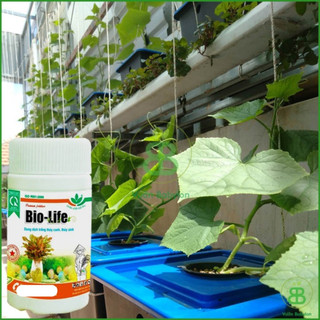 Dung Dịch Thủy Canh Bio Life 100ml