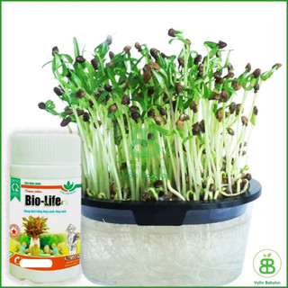 Dung Dịch Thủy Canh Bio Life 100ml