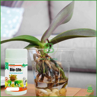 Dung Dịch Thủy Canh Bio Life 100ml