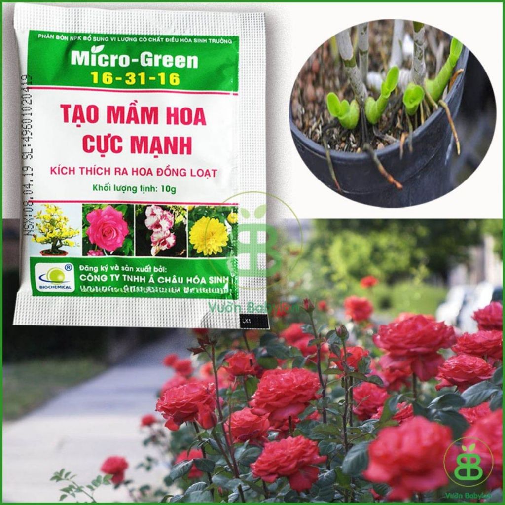 Phân Bón , Micro-Green 16-31-16, Tạo Mầm Hoa, Kích Ra Hoa Cực Mạnh - Gói 10G