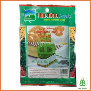 Hạt Giống Cỏ Lúa Mì , Dễ Trồng Quanh Năm, Nảy Mầm Tốt, Dinh Dưỡng Cao Phú Nông - Gói 100G