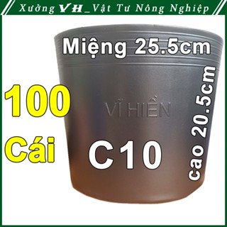 100 Chậu nhựa VĨ HIỀN C10 miệng,cao 25.5x20.5cm trồng cây ăn trái và hoa siêu bền--77105