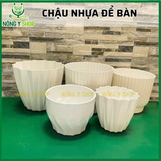 Chậu nhựa kim cương để bàn, chậu bông mai, chậu sọc, chậu múi khế, chậu hoa, chậu cây cảnh, chậu múi khế để bàn