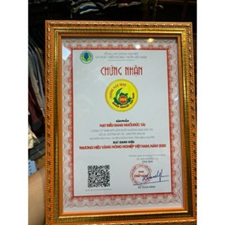 Hạt điều hỗ trợ cải thiện sức khỏe