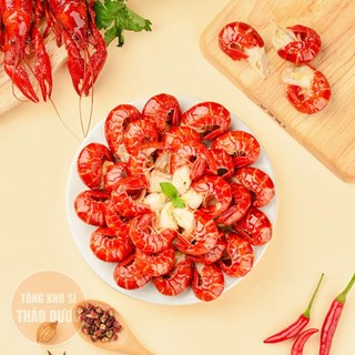Bột sả xay mịn 500g, thơm ngon nguyên chất, bột gia vị nấu ăn, pha nước chấm, khử mùi thịt, cá
