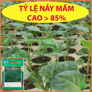 Hạt Giống Súp Lơ Xanh 0,2G