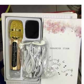 Mic Thu Âm Livestream C11