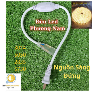 [COMBO 3] Ghim Nối Dây Đèn Led 100m (5050/5730/2835)