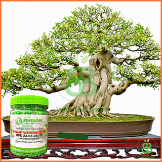 Phân Bón Thông Minh Tan Chậm Rynan 230
