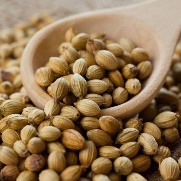 Hạt Ngò Đặc Biệt Kim Nga 500gr/ Coriander Seed Kim Nga/ Hạt Ngò Hữu Cơ - Chính Hãng Kim Nga Việt Nam