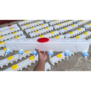 Bình bú sữa heo con, bình ti sữa lợn con loại 7 vú - 9 vú  - 12 vú, bình sữa heo con có van chống sặc tiện lợi