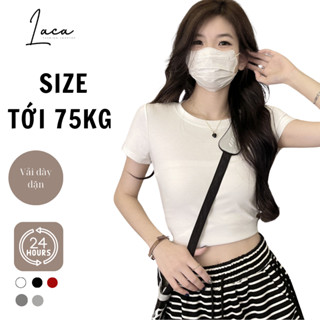 Áo Croptop Ngắn Tay Cổ Tròn Basic - Vải Thun Trơn Dày Co Giãn Thoáng Mát, Ôm Body Sexy, Cá Tính B3-1