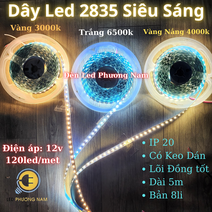 Đèn Led Dây 5m 12v, 2835 120 led (Trắng - Vàng - Vàng Nắng 4000k)