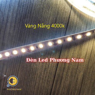 Đèn Led Dây 5m 12v, 2835 120 led (Trắng - Vàng - Vàng Nắng 4000k)
