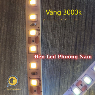 Đèn Led Dây 5m 12v, 2835 120 led (Trắng - Vàng - Vàng Nắng 4000k)