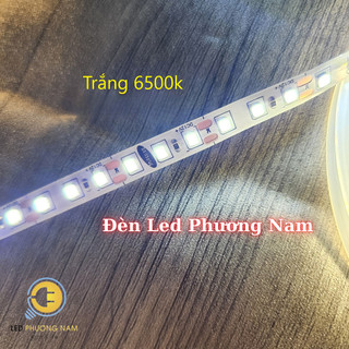 Đèn Led Dây 5m 12v, 2835 120 led (Trắng - Vàng - Vàng Nắng 4000k)