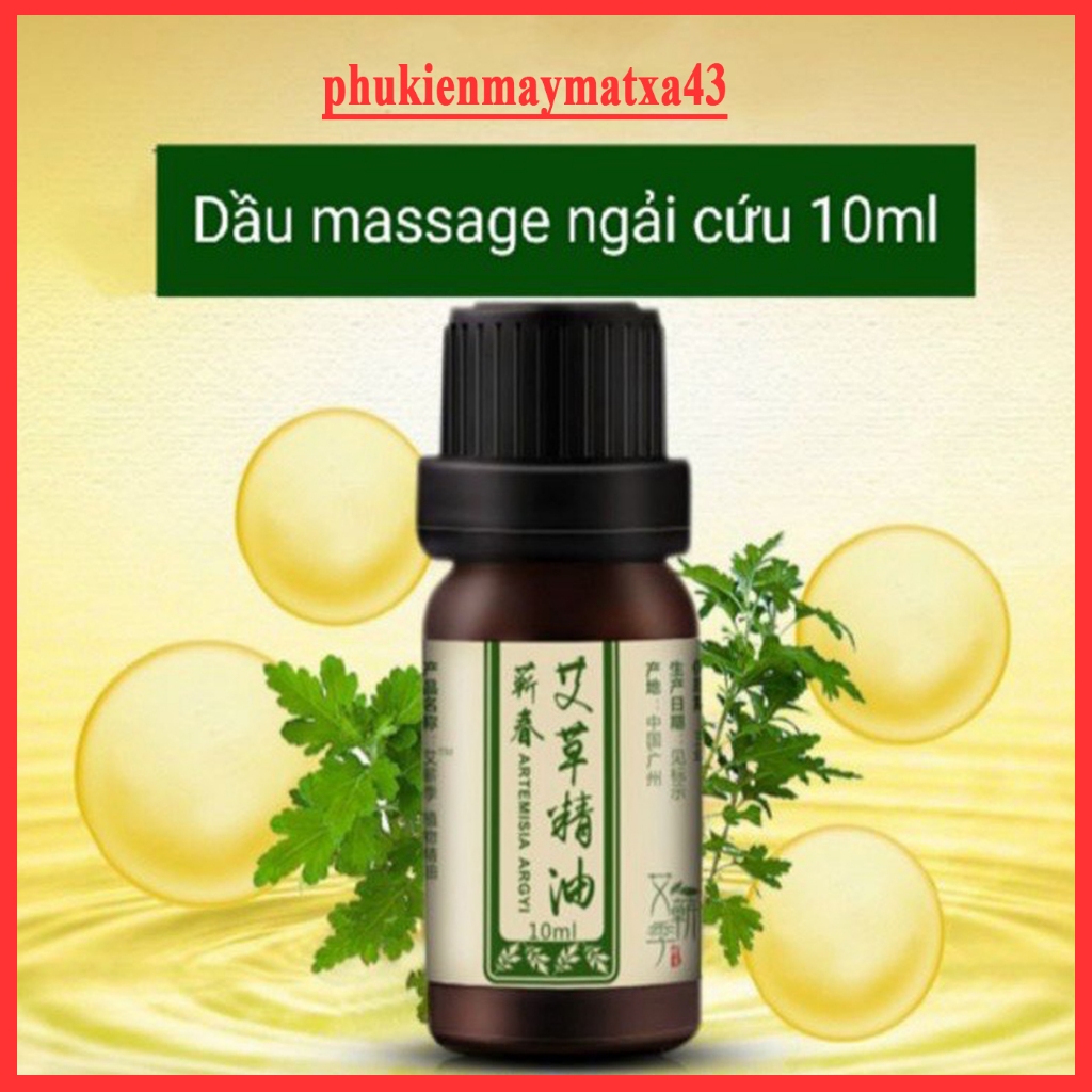 Tinh Dầu massage Ngải Cứu Đắng 10ml dùng chăm sóc Da, dùng cho Máy Mát Xa Bụng, máy massage Body