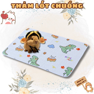 Thảm lót chuồng siêu thấm hút cho Bọ Ú (Chuột Lang) Thỏ cảnh có thể tái sử dụng nhiều lần