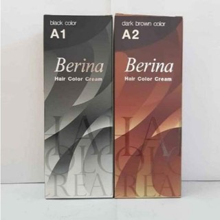 NHUỘM PHỦ BẠC ĐEN THÁI LAN A2