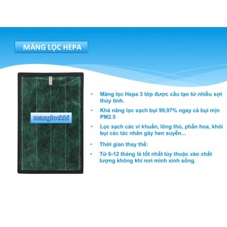 Combo Màng Hepa + Than máy lọc khí Sharp (FZ-F50HFE ) FP-JM40EV-B, FP-GM50E-B)