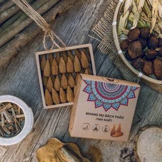 Nụ Xông Bách Thảo An An