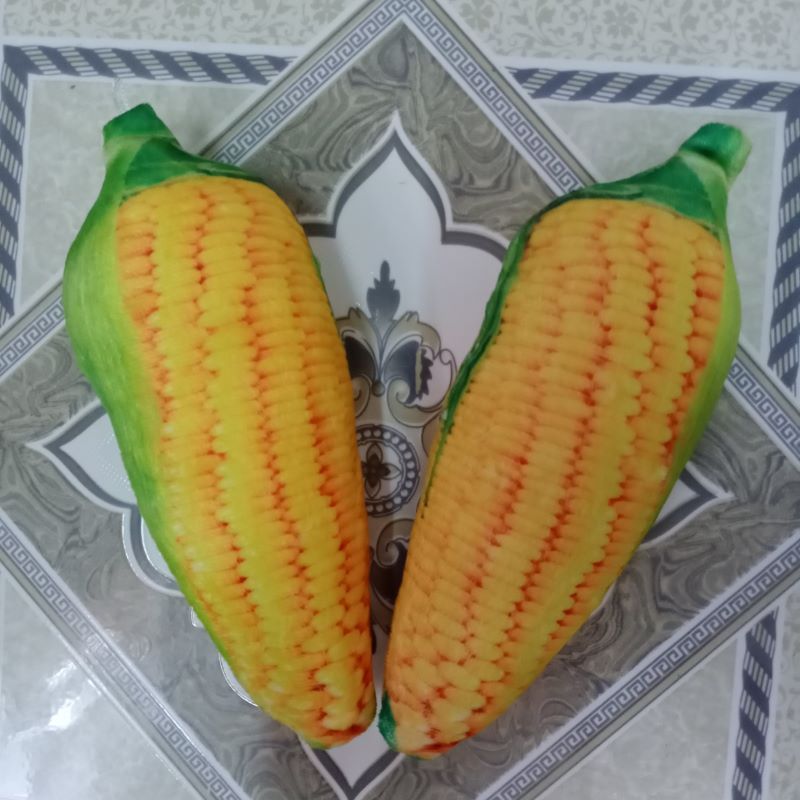 GẤU BÔNG TRÁI BẮP 25CM VẢI MỊN CAO CẤP NHIỀU MẨU