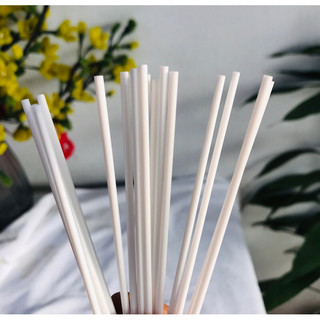 sét 100 que nhựa dài 10cm
