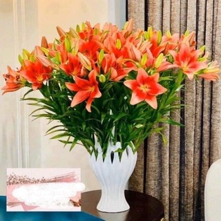 Lọ cắm hoa bàn tay phật