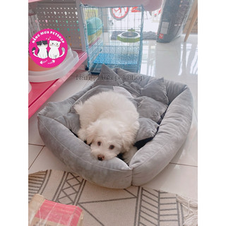 nệm cho chó mèo thú cưng