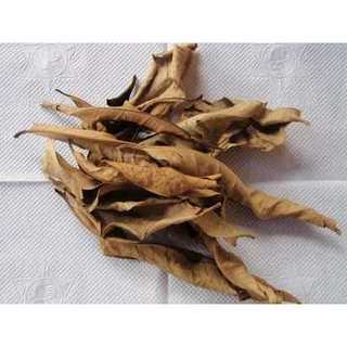 Lá vối khô 1kg